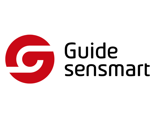 Wuhan Guide Sensmart Tech Co.