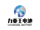 Shenzhen Liyawang Battery co.
