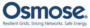 Osmose Utilities Services Inc
