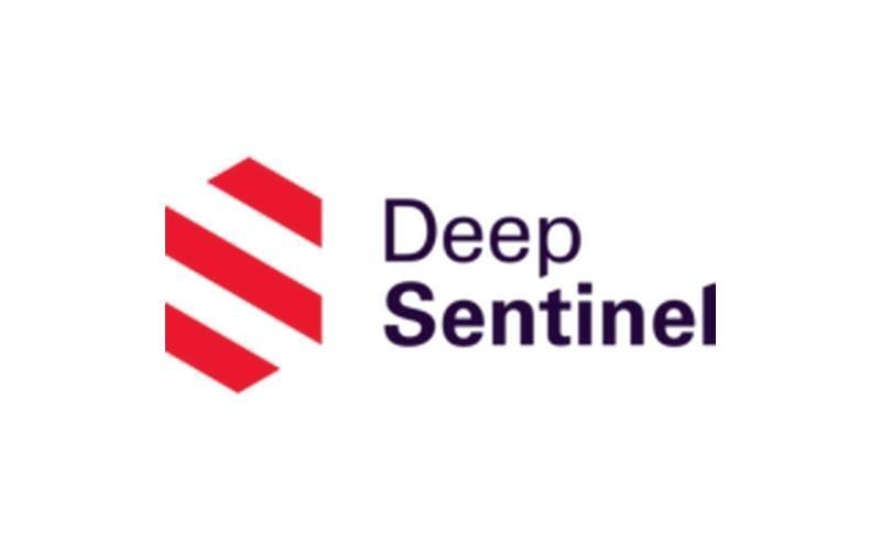 Deep Sentinel
