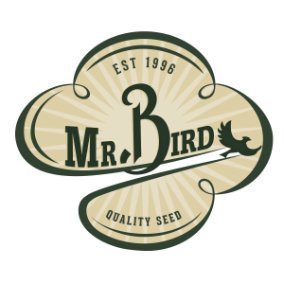 Mr. Bird