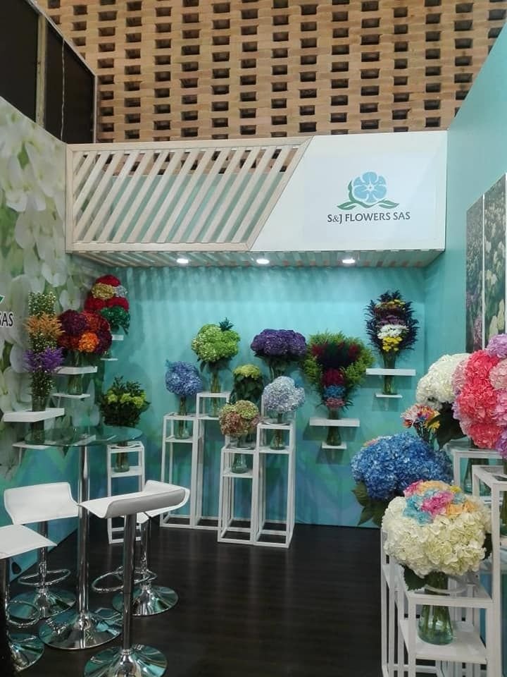 ALPHA OMEGA DYC S.A.S Bogota 12