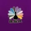 BSP Exstand