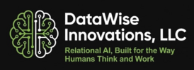 DataWise Innovations LLC