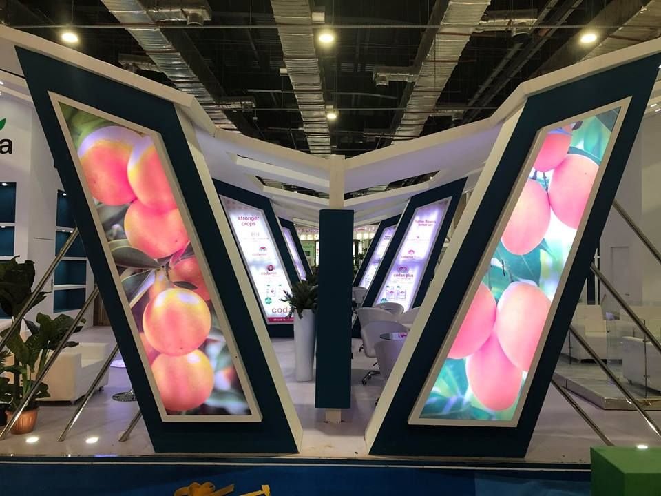 Deal Events Marketing Solutions Giza 10