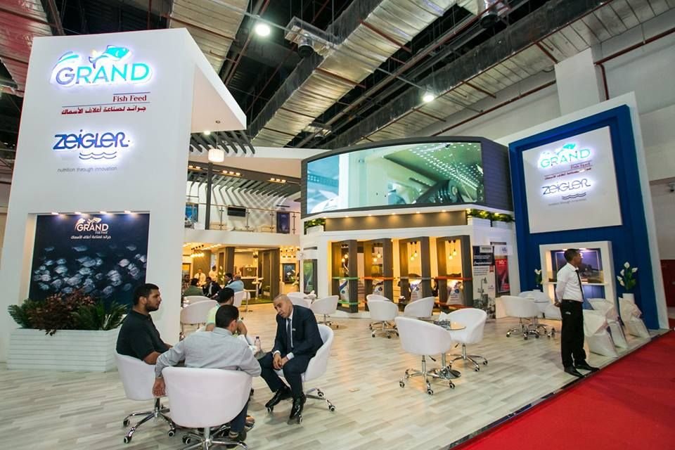 Deal Events Marketing Solutions Giza 12