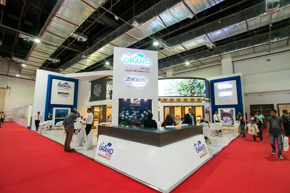 Deal Events Marketing Solutions Giza 13