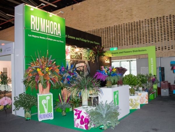 EGOVER ESTUDIO Bogota 6