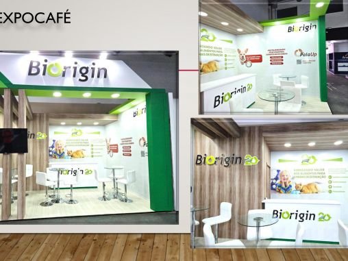 EVOLUCAO SERVICOS Aparecida de Goiania 2