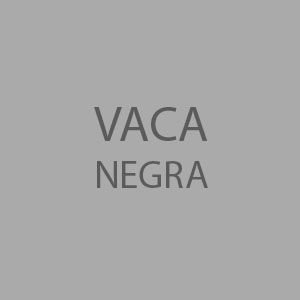Estudio Vaca Negra
