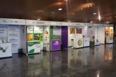 KOLORS FERIAS Y EVENTOS Granada 1