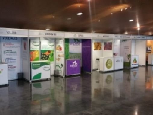 KOLORS FERIAS Y EVENTOS Granada 3