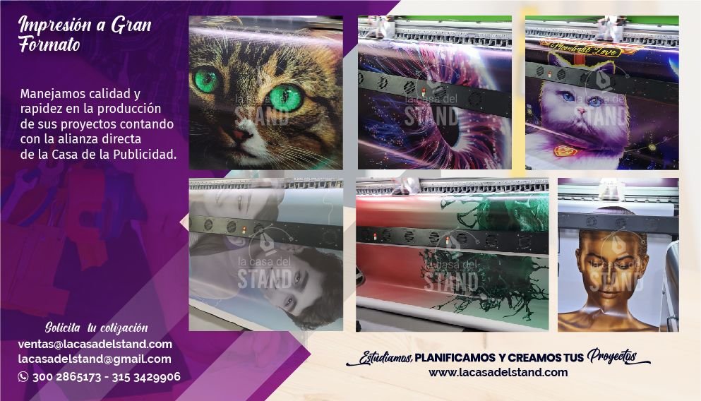 La Casa del Stand Cartagena 7