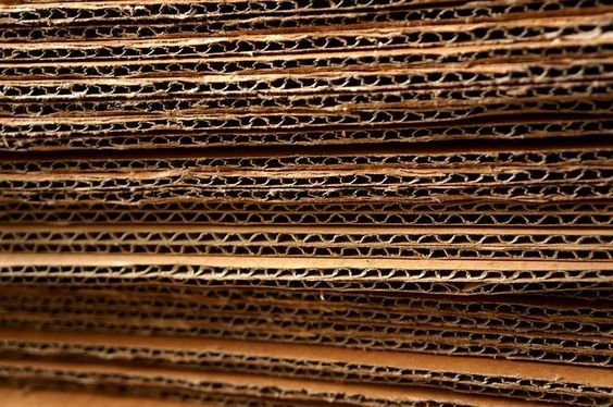 Mas Krton Santiago Chile 1