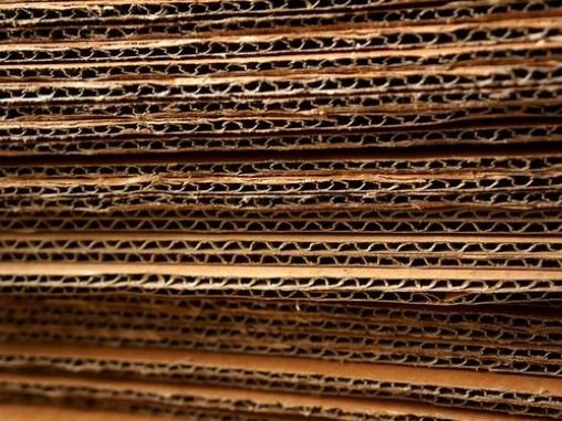 Mas Krton Santiago Chile 2