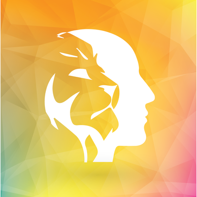 Mind Spirit Designs and Works FZ LLC