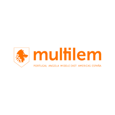 Multilem