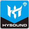 NINGBO HYSOUND ELECTRONIC CO. LTD