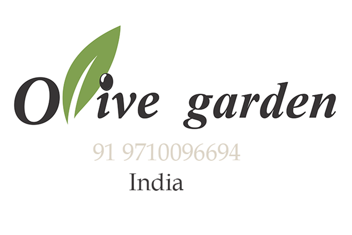 Olive Garden