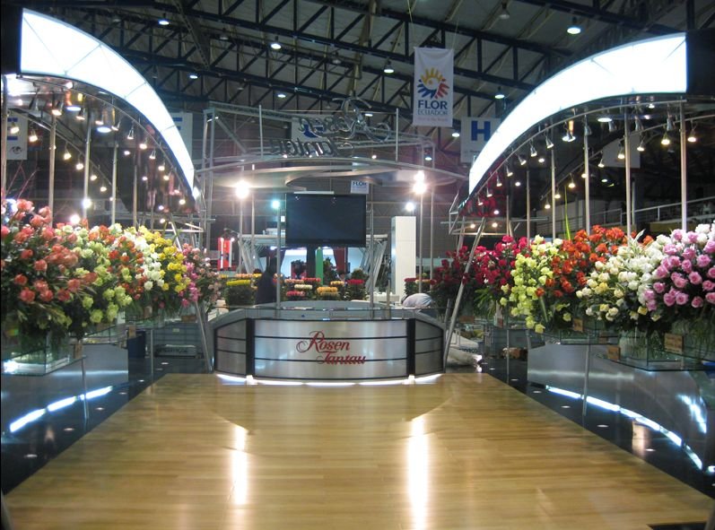 PROCESA Diseno y Arquitectura Quito 10