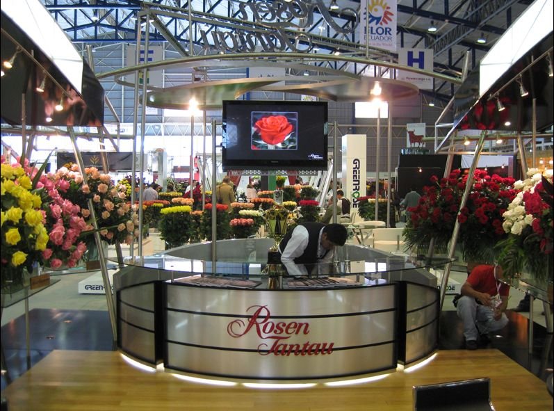 PROCESA Diseno y Arquitectura Quito 14