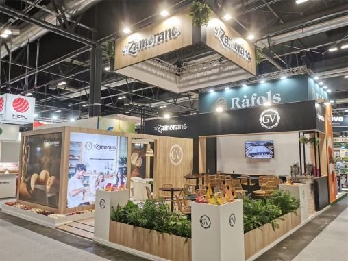 Plan C Solutions Lorqui 2