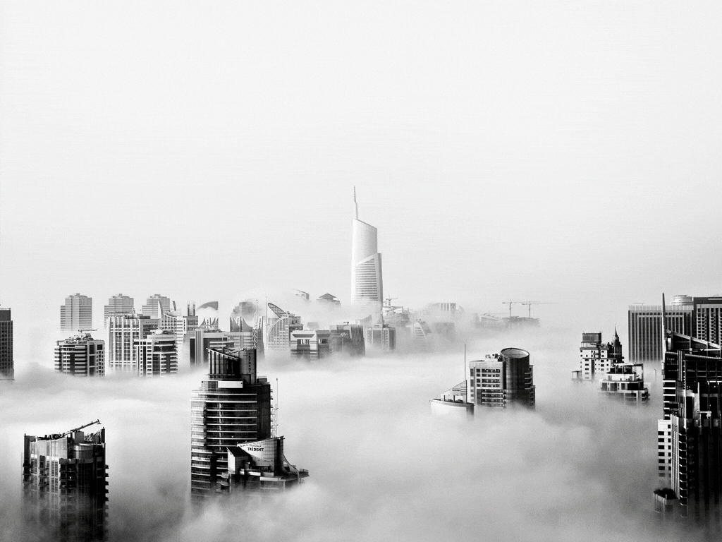 SCALA NEW LINE SAS Bogota 38