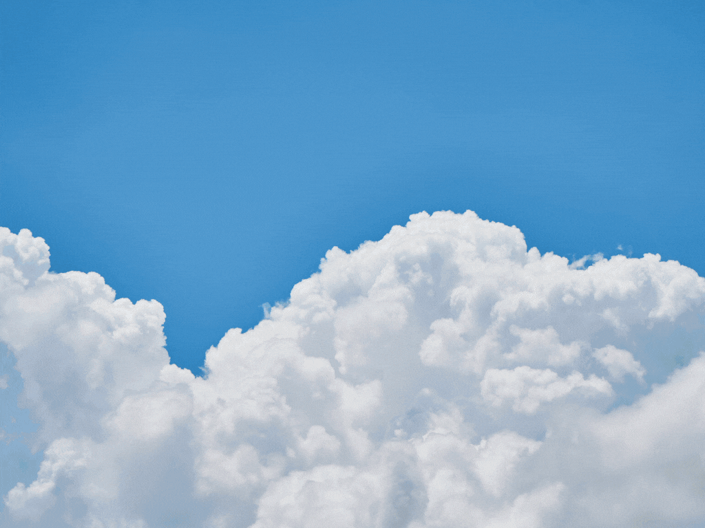 SCALA NEW LINE SAS Bogota 40