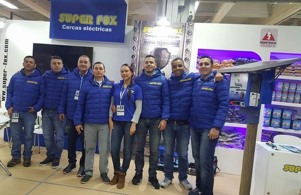 SINGULART DISENO S.A.S Bogota 20