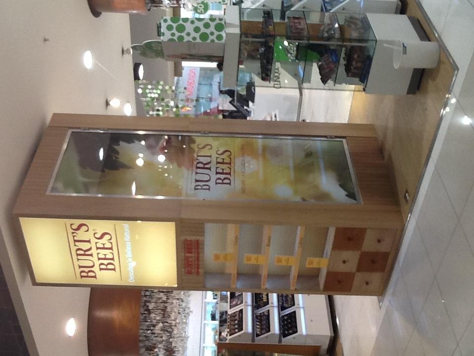 Sa.Zen Diseno Integral SAS Bogota 5