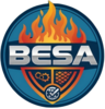 Shanghai Besa Industry Co. Ltd