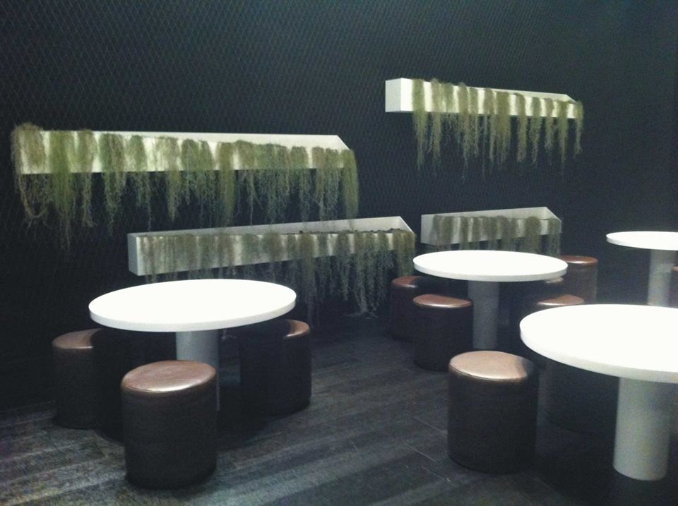 Studio Immagine Allestimenti Srl Santeramo in Colle 14