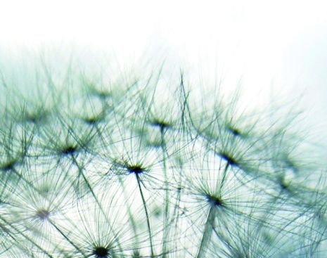 Totems Communication & Architecture GmbH