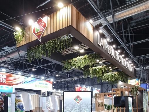 WallDesign Valencia 3