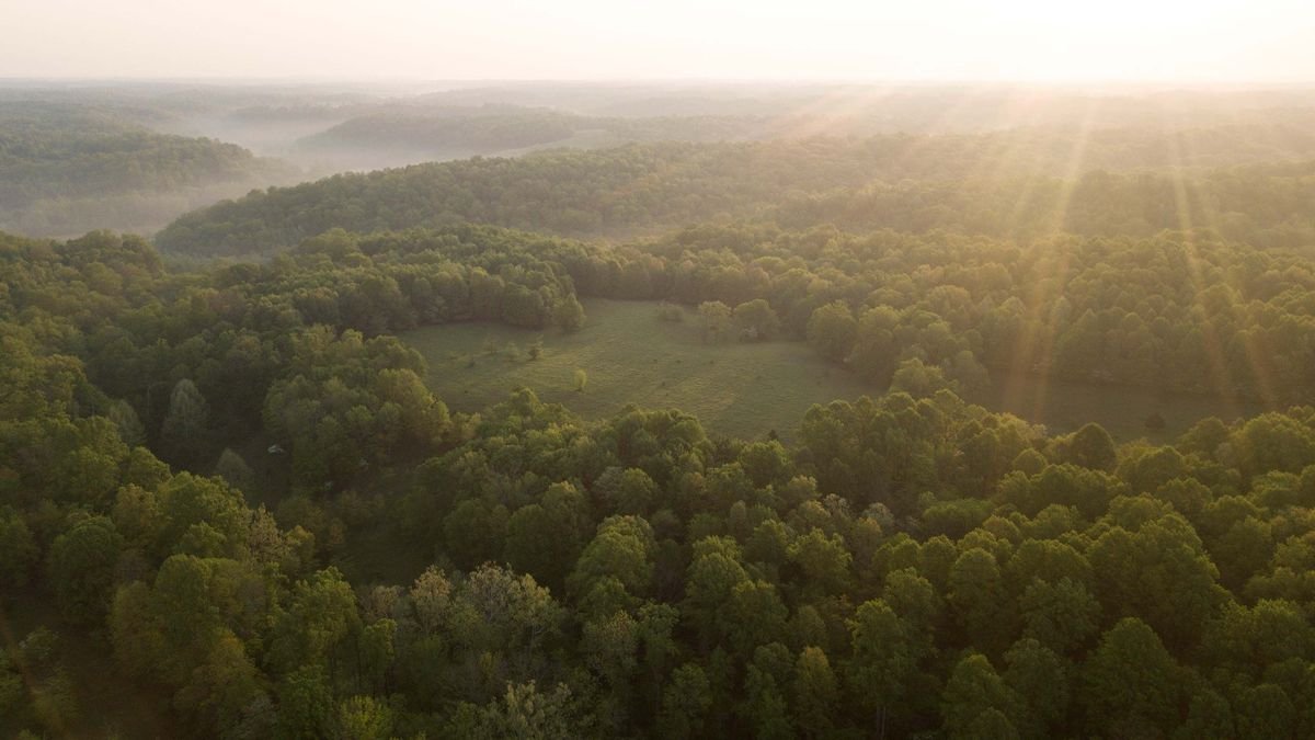 Whitetail Properties