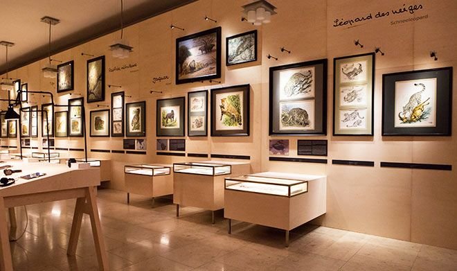 petrol design gmbh Munich 6