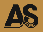 ADHESION SOCIETY ANNUAL MEETING – 2027